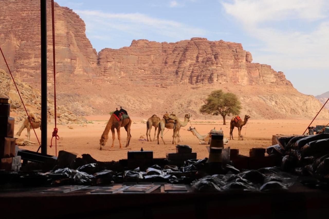 Bedouin Desert Camp Wadi Rum Zewnętrze zdjęcie